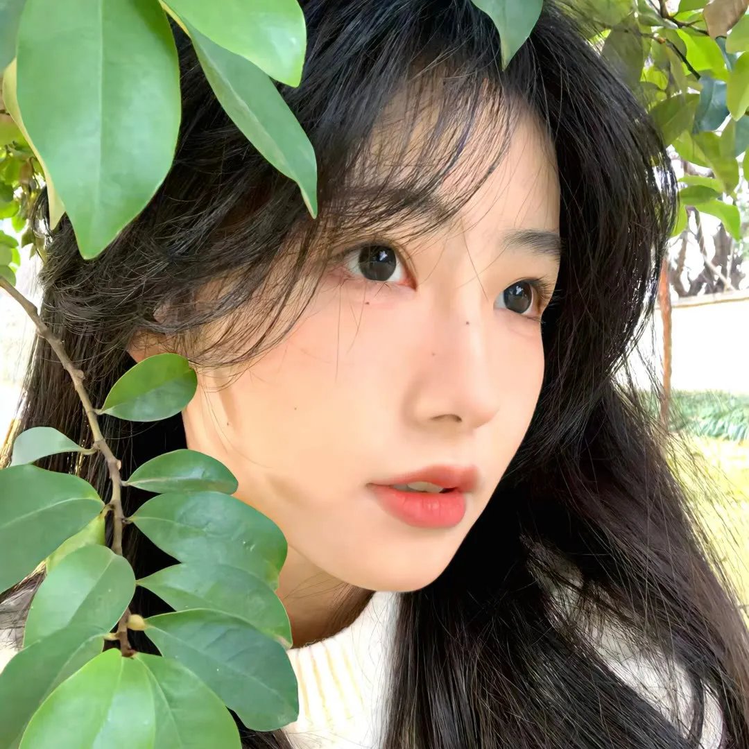 禁欲男神又宠又撩